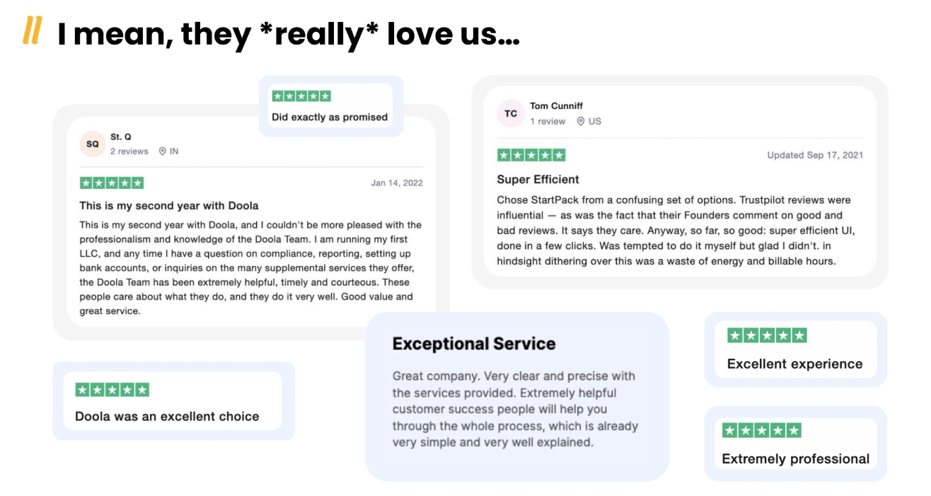 Doola customer reviews 2